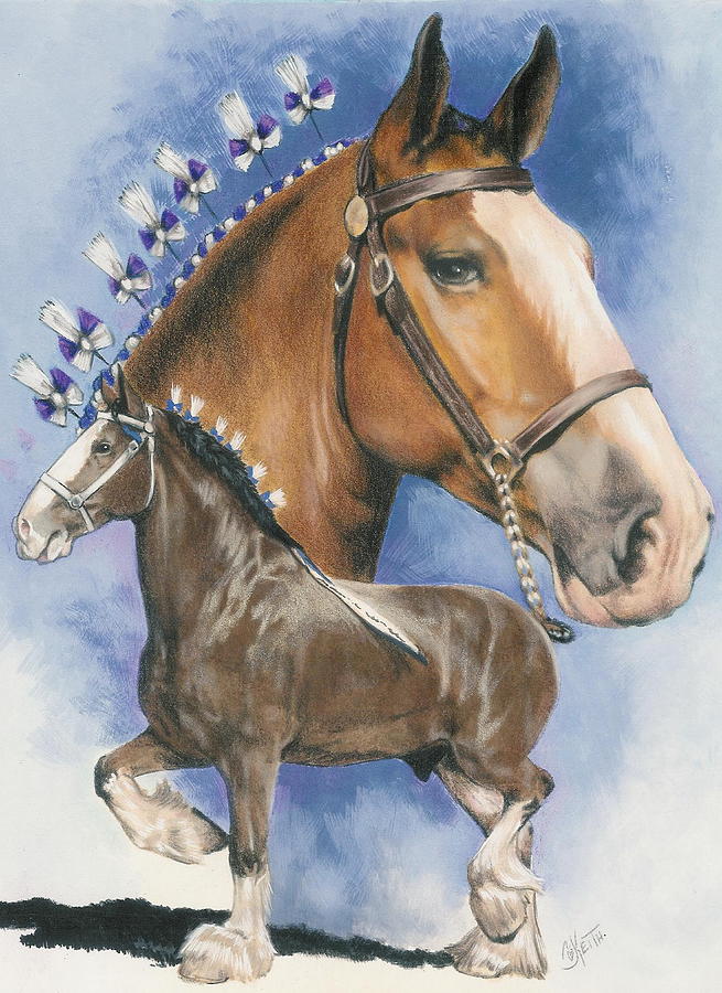 Clydesdale Horse - Barbara Keith